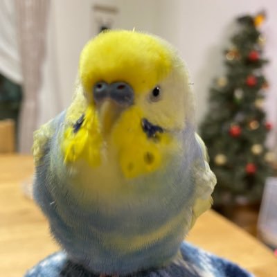 xv31460's profile picture. 