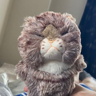 ngok_0916's profile picture. 晴吹 クラリネット(お休み中🦥💤)STの卵🐥⸒