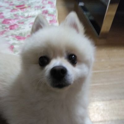 Yutapon155508's profile picture. 初めましてこんにちは
お酒、スポーツ観戦、格闘技、
ギャル友、趣味が合う人是非仲良くして下さい。宜しくお願いします。