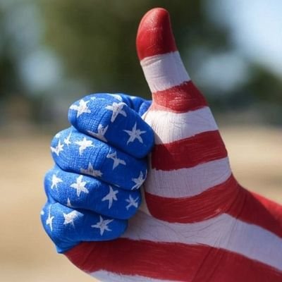 CCNH23's profile picture. Married, Catholic conservative. 2A protects 1A. 
no dms, porn will be blocked.
IFBAP