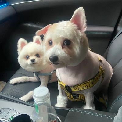 caimuqi409's profile picture. web3草根