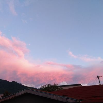 mokuren3333's profile picture.