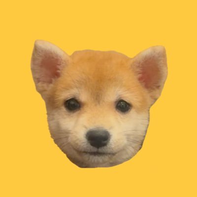 羊毛フェルト犬 (@woolfeltdog) / Posts / X