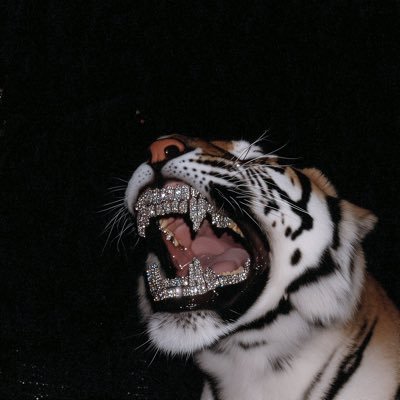 SleepyGrillZzz's profile picture. not mine