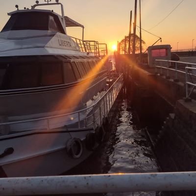 FedericoSa34633's profile picture. 