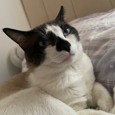 Kevin27456294's profile picture. ele/dele. Anime lover 🎌 | Dragon Ball 🐉 One Piece ☠️Demon Slayer 👺