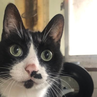 masa_annai's profile picture.
