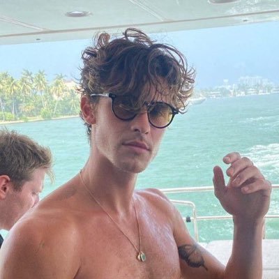 shawnstendies's profile picture. living in a world built from mendes lyrics ☁️⋆｡°✩