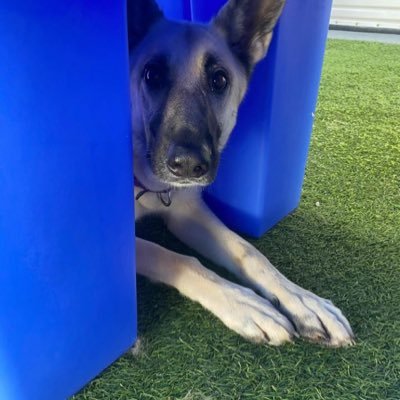 BethSotolongo1's profile picture. Daughter of a Cuban executed in Cuba. Democrats commies say that should be “normalized.” MAGA The best is yet to come. No DMs