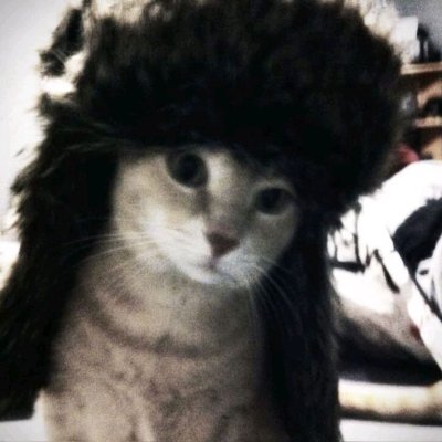 AstrixScov66712's profile picture. 相互垢です。フォローさせてくださいね。フォロバしてくれたら嬉しいです。男女関係なく仲良くできるお友達が欲しいです。気軽に絡んでね