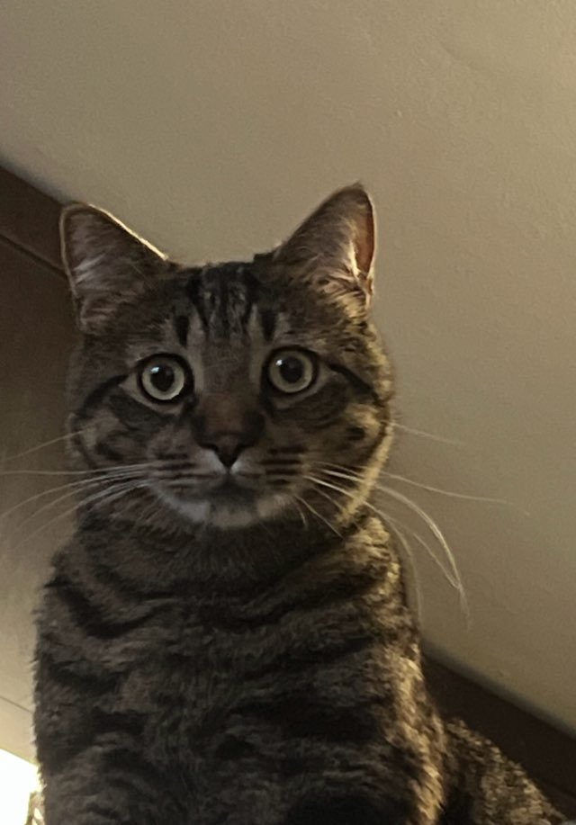 kryo_io's profile picture. 