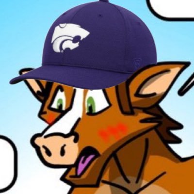 Kareymusic2k9's profile picture. ✝️🇻🇦📿 | 2016 meme war veteran | Mario autist | mild Kansas state football fan 🟪⬜️🐱🌾| most lovable incel freak shitposter | pfp: @Catholicfoxxo