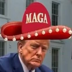 lela385's profile picture. #UltraMAGA, #MAHA, I proudly support my President, #Trump2024NowMorethanEver, #TrumpVanceKennedy2024, #CharlieKirk