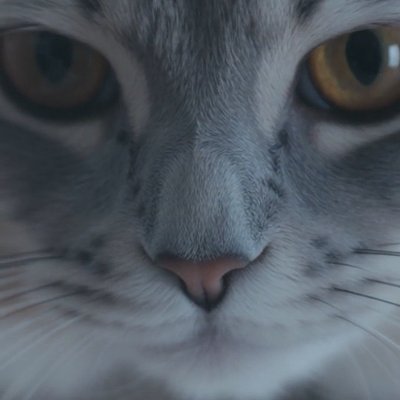 wi8168221425923's profile picture. 