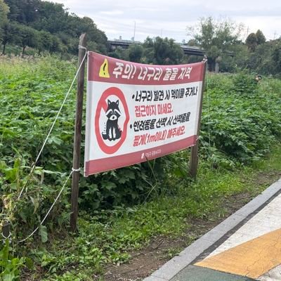 singul_sing's profile picture. 로스쿨 17기