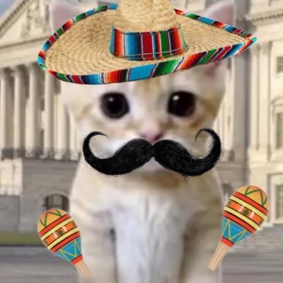 TheDixie_Lauver's profile picture. ๐ซ Beshear 2028, Laufeys #1 fan (He/Him, 18, Mexican American, ๐ณ๏ธโ๐ )