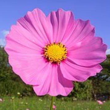 GANchan3702's profile picture. 生LIVE🎶鑑賞と筋トレ・ヨガ・アクアビクス・水泳など身体を動かすのが大好き♡魂に響く歌を歌われる方のLIVE🎶は生き甲斐です😍💕グループホームで高齢者のお世話の仕事をしています😊