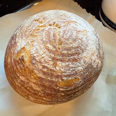 Aleks_H's profile picture. 