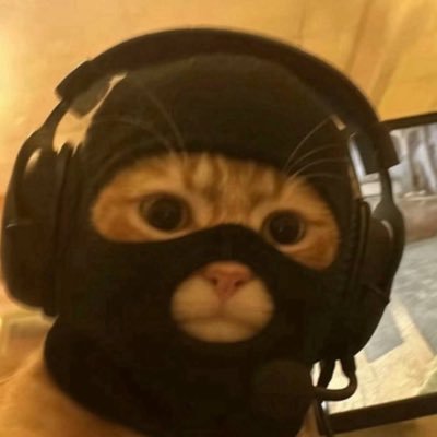jonc555's profile picture. $mask | @thecatwifmask