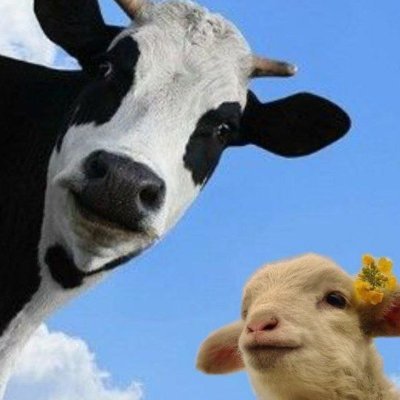 Yudaanjing's profile picture. 