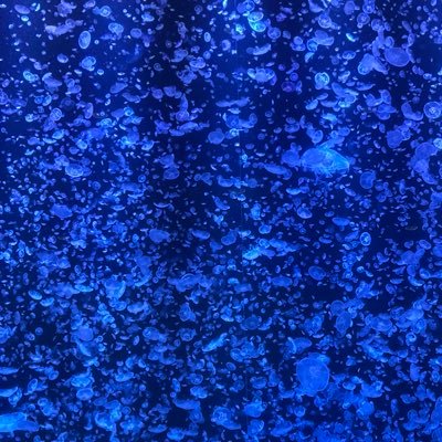 nie_no_nie173's profile picture. mlsbに沼った垢/夢を主に文字で地産地消してきた/嗜むものは夢も腐も百合も美味しく/地雷はミュートしてます/フォロバご自由に/めちゃくちゃフォロー･いいね･RPするのでミュート推奨/20↑