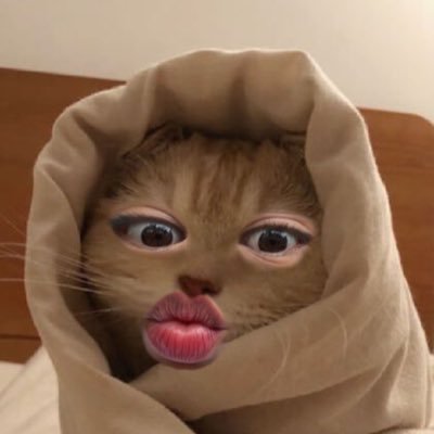 moneeeece's profile picture. 