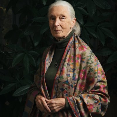 JaneGoodallIND's profile picture. Jane Goodall's Root's&Shoots India #InspiringYouth #EmpoweringYouth #takingaction #makingdifference in INDIA 🇮🇳