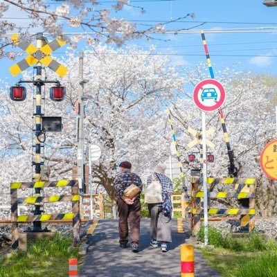 ap091016's profile picture. 