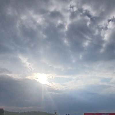 SLaelda1102's profile picture. 