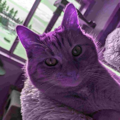 pinepinesample's profile picture. I'm a currently existing individual. 
Minor