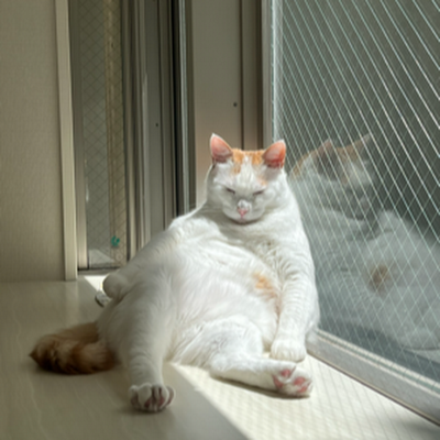 SaladPotat29205's profile picture. 