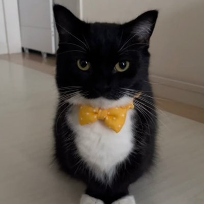 SnowlyIsreal's profile picture. 