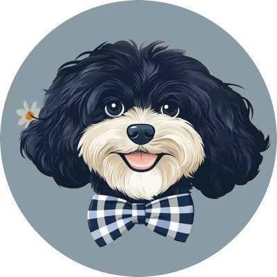 Rxl88888888's profile picture. 