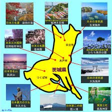 nuhaha3_mineral's profile picture. どうやってプロフィール書くの？