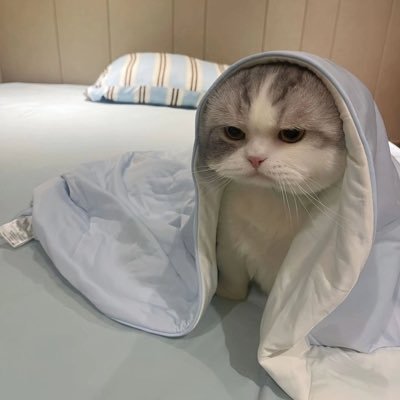 jejeansim_ Profile Picture
