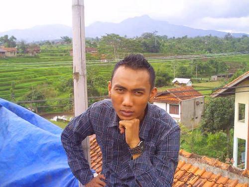 harismaulana20's profile picture. 