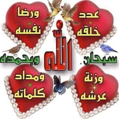abbfoued09's profile picture. Teacher