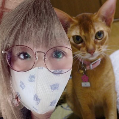 ねこばぁば🐈🌹🌕 (@Baaba_M_Cats) / Posts / X ねこばぁば🐈🌹🌕 (@Baaba_M_Cats) / Posts / X