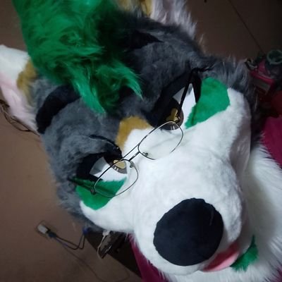 F² Coyote🌵╏22yo🇲🇽╏HARDSTYLE BABY 🪚╏Fursuiter╏BF🍼╏Shareholder 💼
