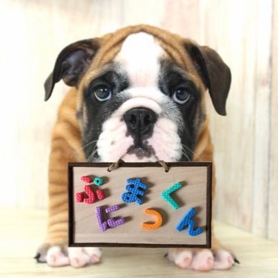 punimathu's profile picture. 𝕝𝕟𝕤𝕥𝕒𝕘𝕣𝕒𝕞 @bulldog_punimatu ブルドッグのぷに松くんです。23㌔の顔整い犬です(自称)。名前だけでも覚えて帰ってください