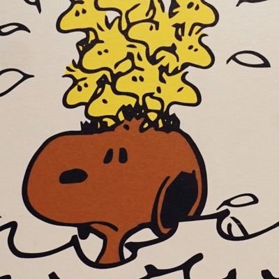 YB9437Yuru's profile picture. 