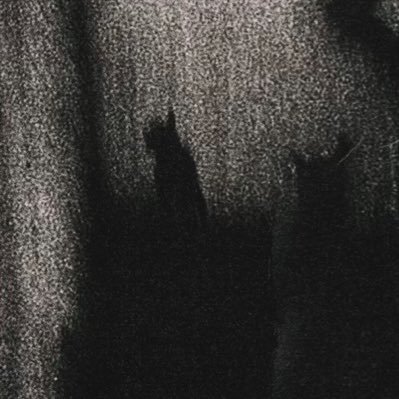 lamid3__'s profile picture. impassive.