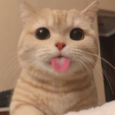 gewmegee's profile picture. Let's build