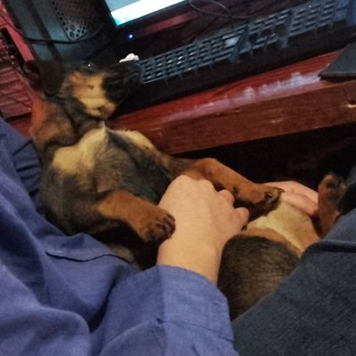 darko_dreams's profile picture. La fortuna favorece a los valientes.