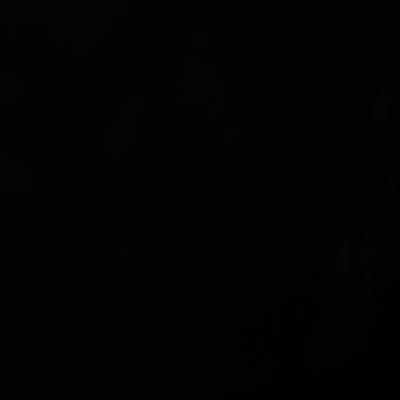 agent__daniella's profile picture. 