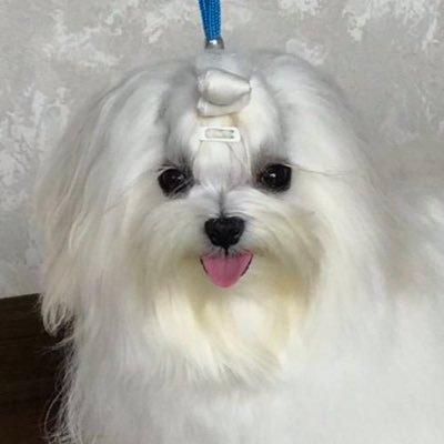 Syunasyuna06's profile picture. ゲーム垢です❕🍀*゜無言フォローお許しください✩.*˚