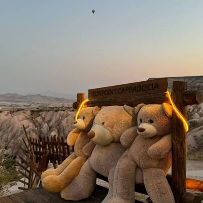 haleid435916's profile picture. عيش الحب مع من تحب