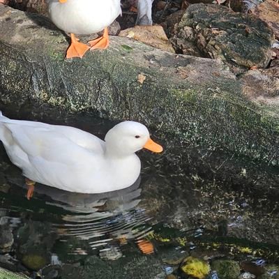 The_Star78's profile picture. ..