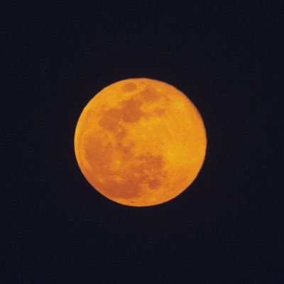 Typeshit002's profile picture. Qué Sera Sera