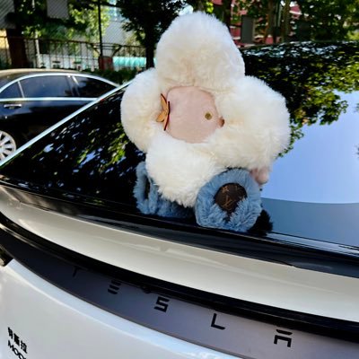 JetyaoZhang's profile picture. 